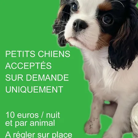 La Source Apartmán Saint-Saturnin-de-Lucian