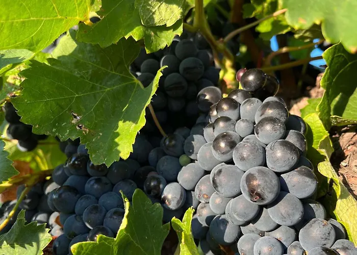 La Source Апартаменты