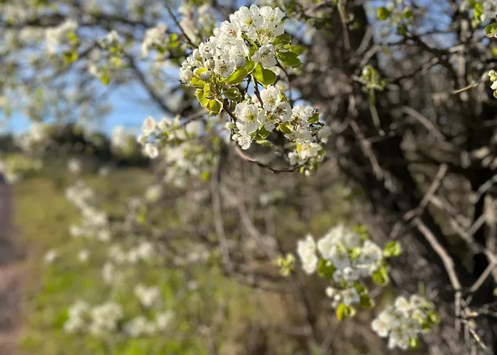 Апартаменты La Source